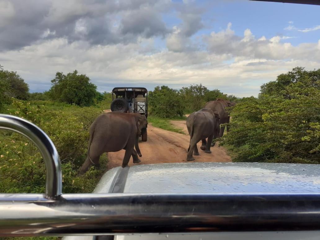Elephant Lodge Удавалаве Екстериор снимка
