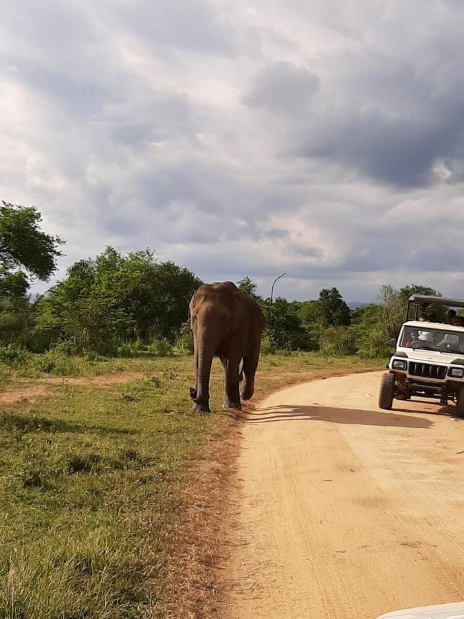 Elephant Lodge Удавалаве Екстериор снимка